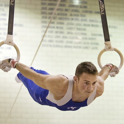 Gymnastic Rings Workout